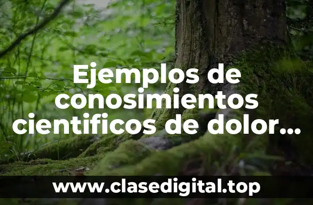 Ejemplos de conosimientos cientificos de dolor de estomago