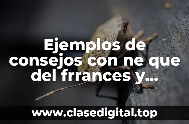 Ejemplos de consejos con ne que del frrances y Significado