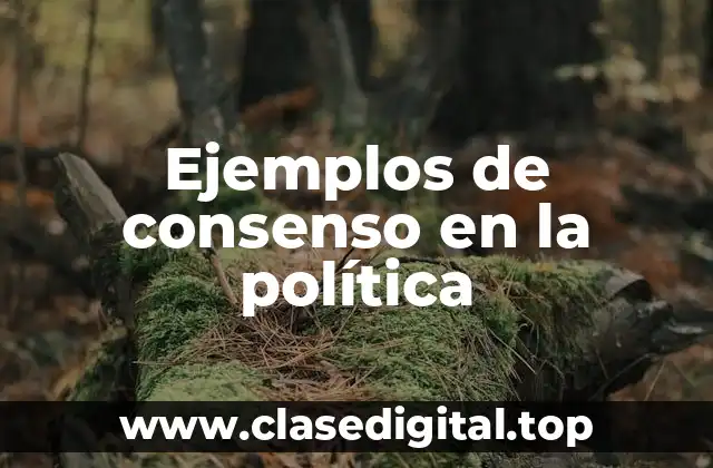Ejemplos de consenso en la política