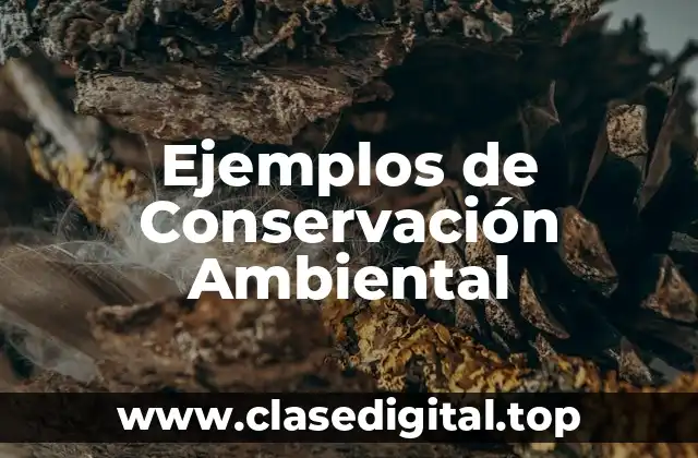 Ejemplos de Conservación Ambiental