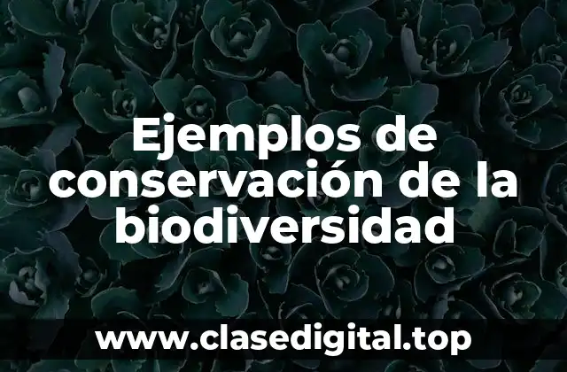 Ejemplos de conservación de la biodiversidad