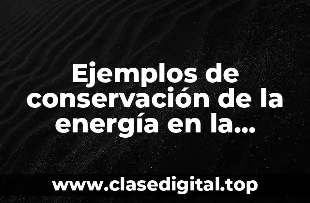 Ejemplos de conservación de la energía en la naturaleza