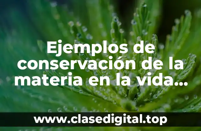 Ejemplos de conservación de la materia