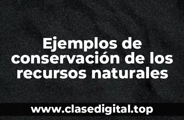 Ejemplos de conservación de los recursos naturales