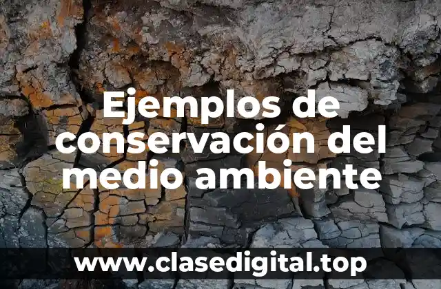 Ejemplos de conservación del medio ambiente