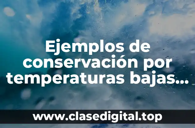 Ejemplos de conservación por temperaturas bajas de alimentos y Significado