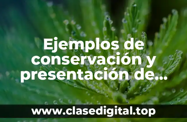 Ejemplos de conservación y presentación de frutas