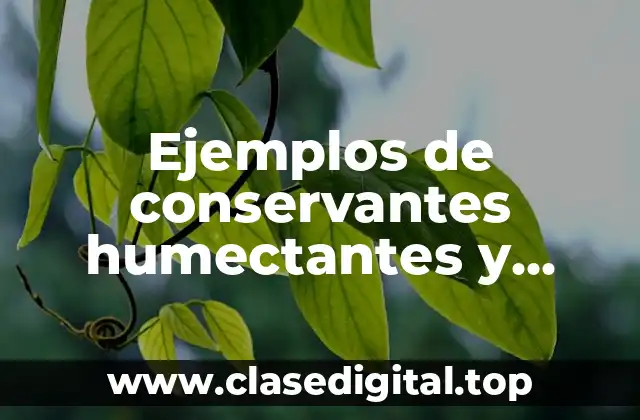 Ejemplos de conservantes humectantes y Significado