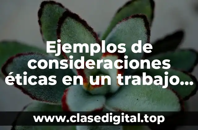 Ejemplos de consideraciones éticas en un trabajo de investigación