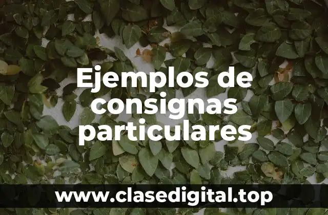 Ejemplos de consignas particulares