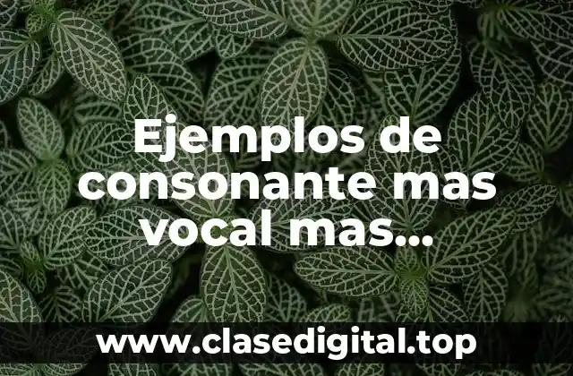 Ejemplos de consonante mas vocal mas consonante