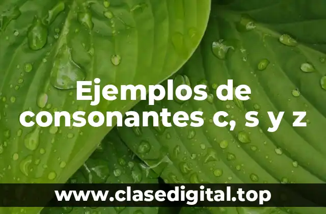 Ejemplos de consonantes c, s y z