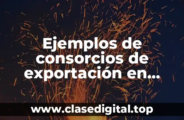 Ejemplos de consorcios de exportación en Argentina