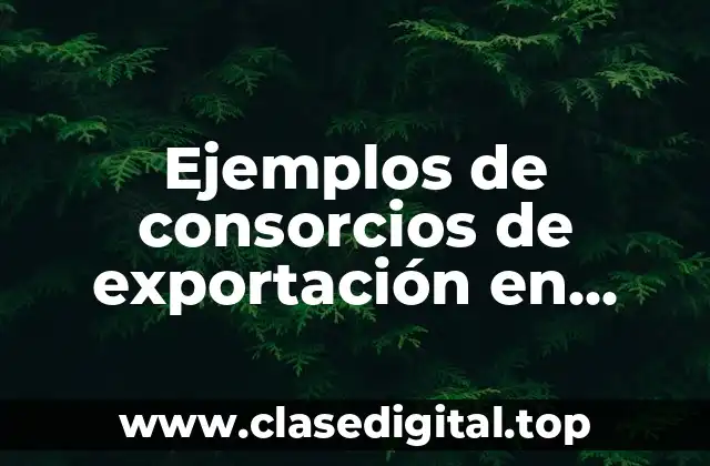 Ejemplos de consorcios de exportación en México