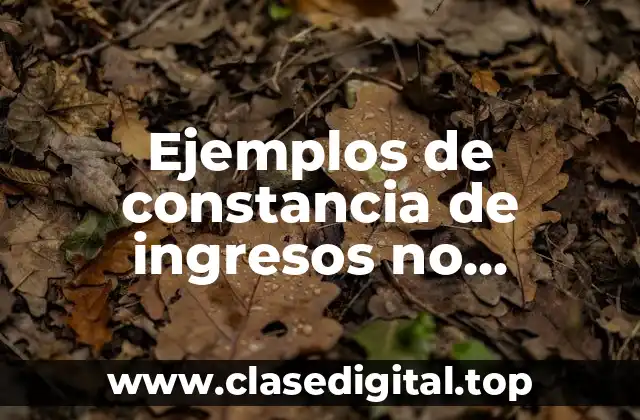 Ejemplos de constancia de ingresos no comprobables