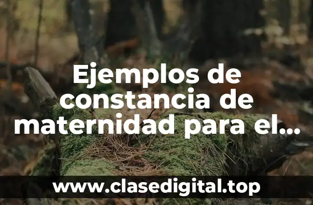 Ejemplos de constancia de maternidad para el IMSS y Significado