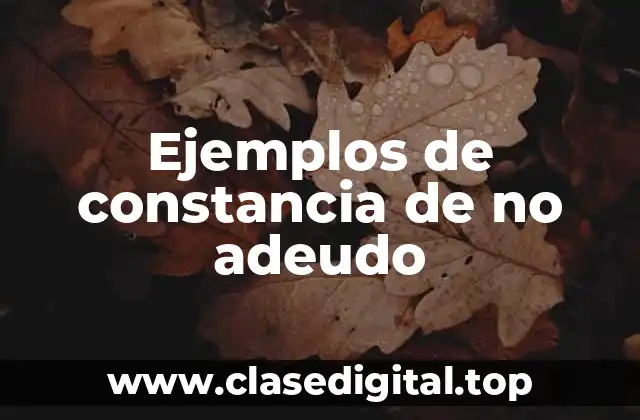 Ejemplos de constancia de no adeudo