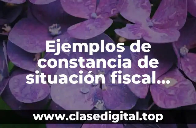 Ejemplos de constancia de situación fiscal persona física