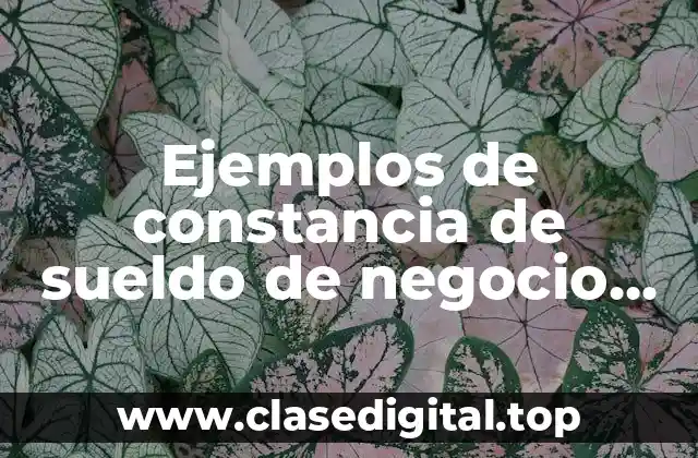Ejemplos de constancia de sueldo de negocio propio y Significado