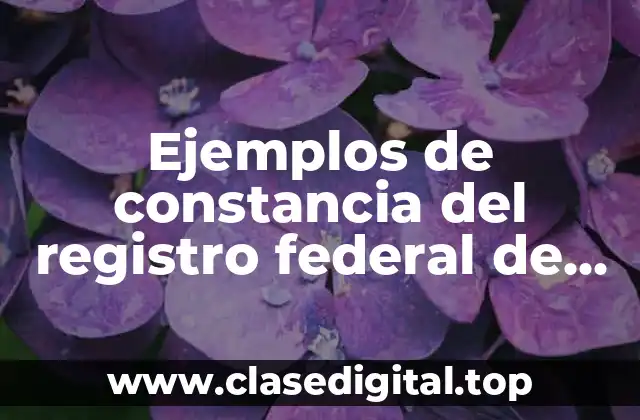 Ejemplos de constancia del registro federal de causantes