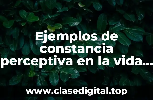 Ejemplos de constancia perceptiva en la vida cotidiana y Significado