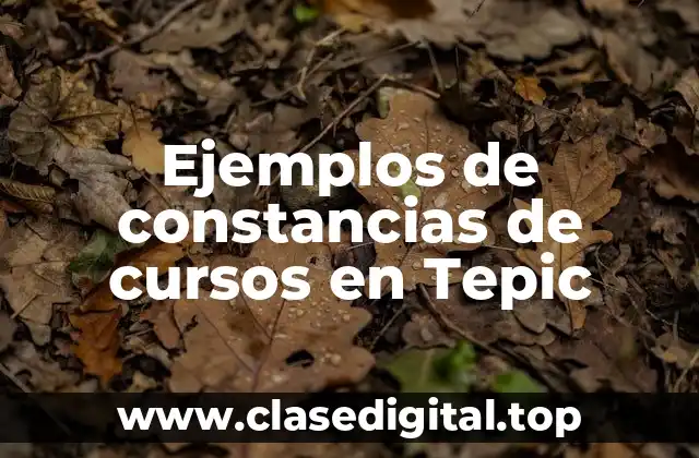 Ejemplos de constancias de cursos en Tepic