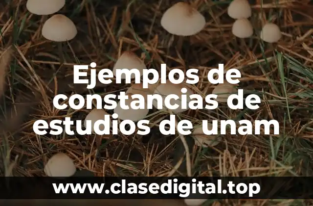 Ejemplos de constancias de estudios de unam