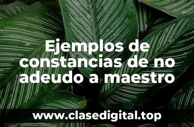 Ejemplos de constancias de no adeudo a maestro