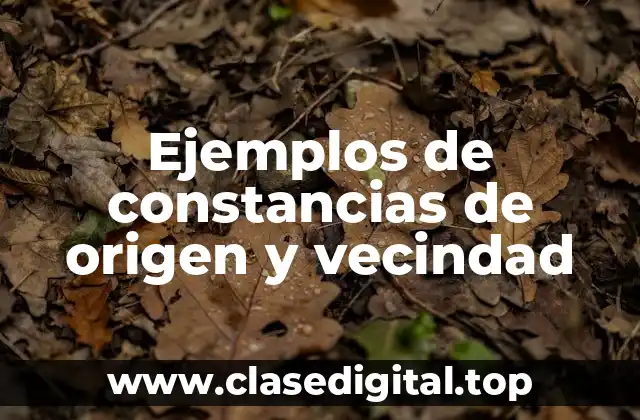 Ejemplos de constancias de origen y vecindad