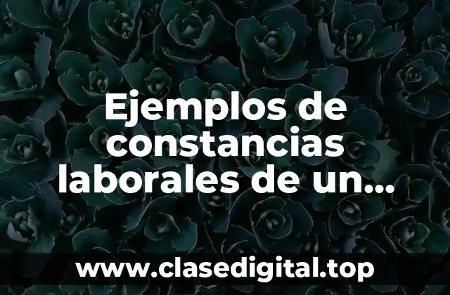 Ejemplos de constancias laborales de un municipio