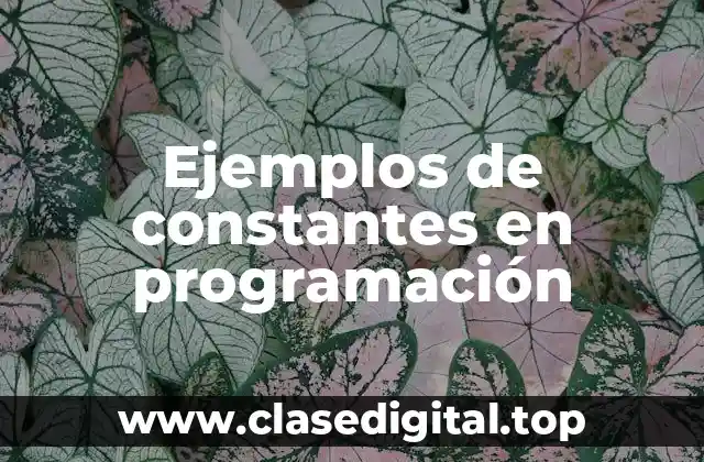 Ejemplos de constantes en programación