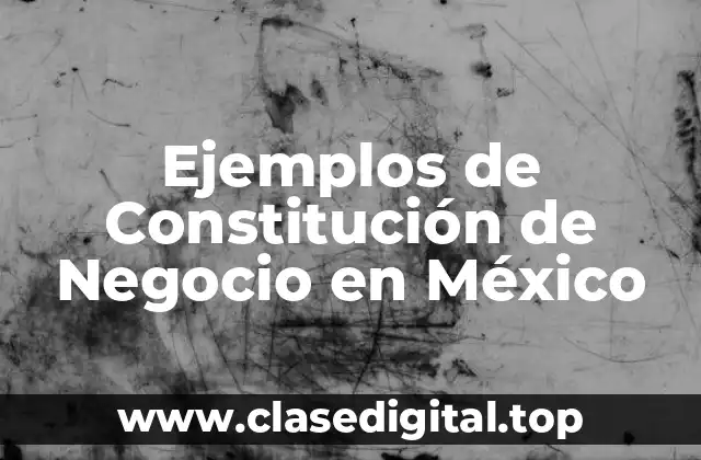 Ejemplos de Constitución de Negocio en México