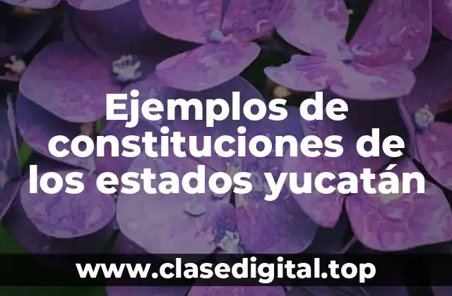 Ejemplos de constituciones de los estados yucatán