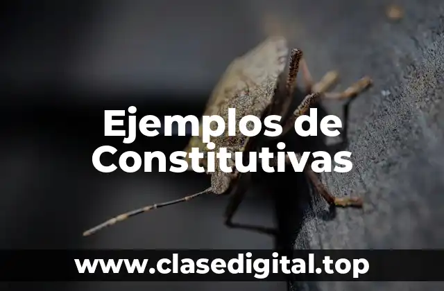 Ejemplos de Constitutivas
