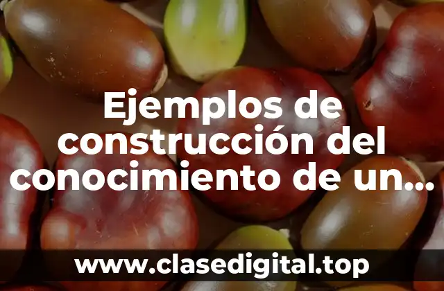 Ejemplos de construcción del conocimiento de un alumno