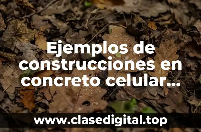 Ejemplos de construcciones en concreto celular polonia