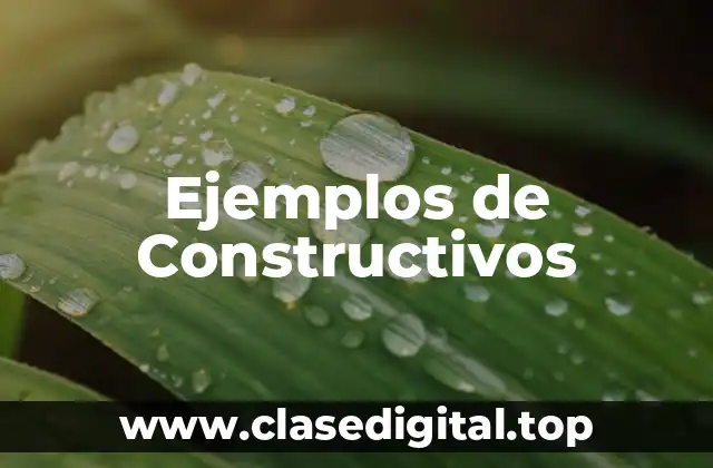 Ejemplos de Constructivos