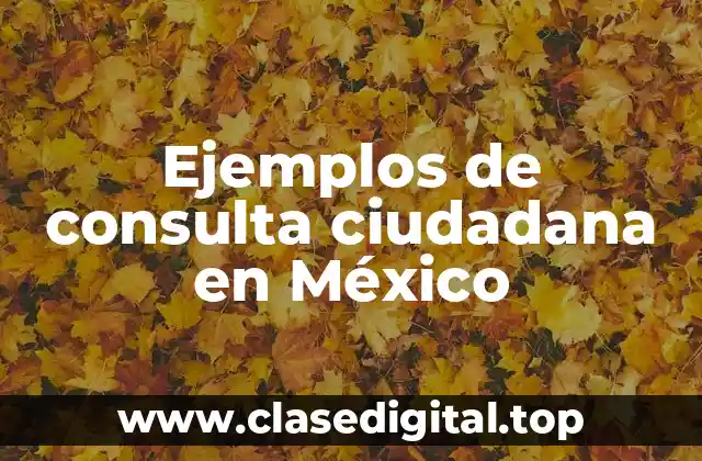 Ejemplos de consulta ciudadana en México