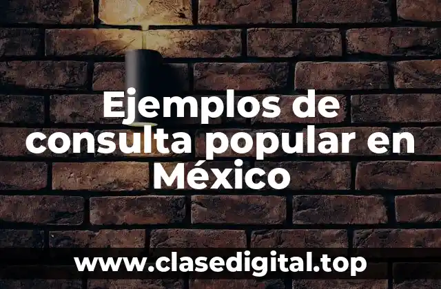 Ejemplos de consulta popular en México