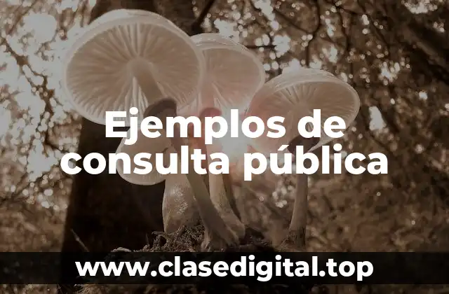 Ejemplos de consulta pública