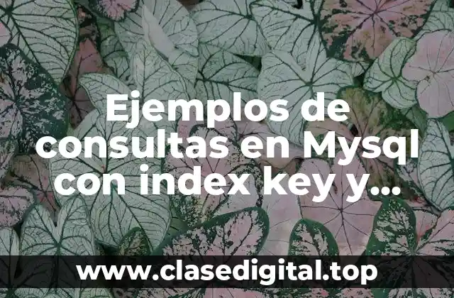Ejemplos de consultas en Mysql con index key