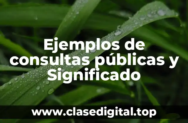 Ejemplos de consultas públicas y Significado