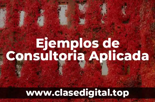 Ejemplos de Consultoria Aplicada