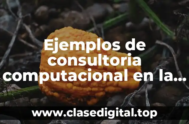 Ejemplos de consultoria computacional en la vida cotidiana y Significado