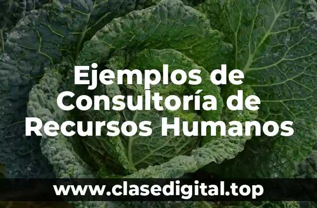 Ejemplos de Consultoría de Recursos Humanos