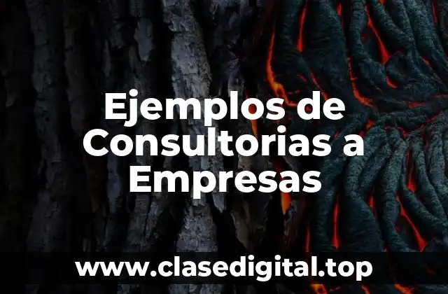 Ejemplos de Consultorias a Empresas