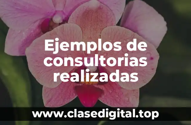 Ejemplos de consultorias realizadas
