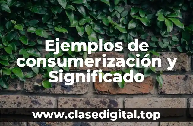 Ejemplos de consumerización y Significado
