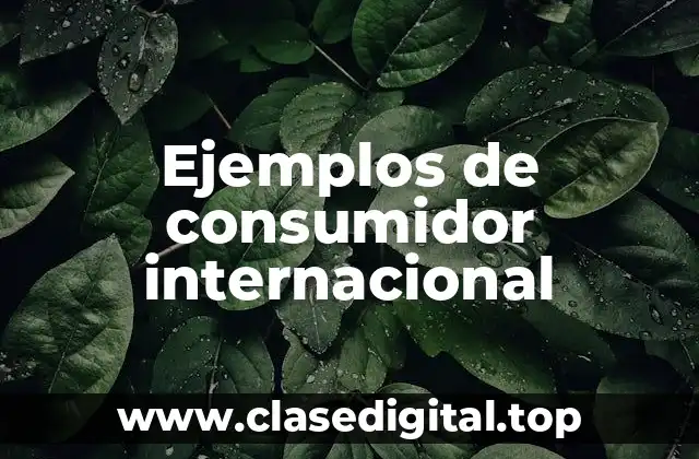 Ejemplos de consumidor internacional