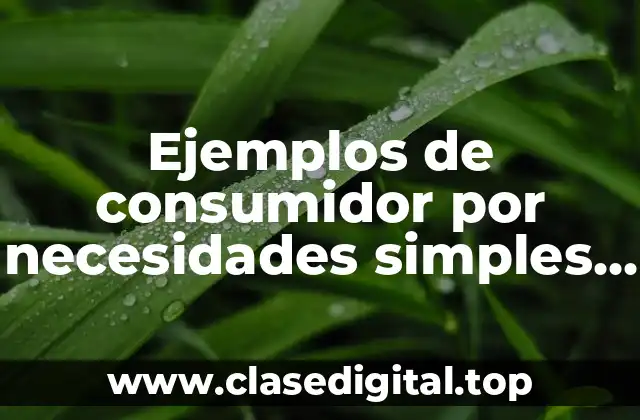 Ejemplos de consumidor por necesidades simples o biológicas